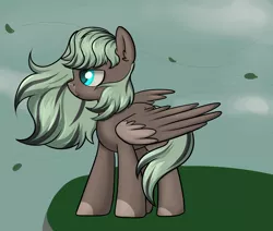 Size: 2600x2200 | Tagged: safe, artist:dumbwoofer, derpibooru import, oc, oc:forest air, pegasus, pony, dyed mane, female, hill, image, leaves, looking offscreen, mare, png, sky, solo, wind