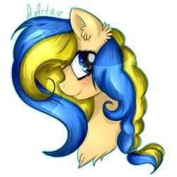 Size: 604x604 | Tagged: safe, artist:arta-the-pony, derpibooru import, oc, oc:ukraine, ponified, unofficial characters only, earth pony, pony, bust, ear fluff, earth pony oc, female, image, jpeg, mare, nation ponies, portrait, signature, simple background, smiling, solo, ukraine, white background