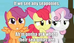 Size: 1280x750 | Tagged: suggestive, derpibooru import, edit, edited screencap, screencap, apple bloom, scootaloo, sweetie belle, tina, bob's burgers, caption, cutie mark crusaders, image, image macro, implied seapony, implied vagina, png, text