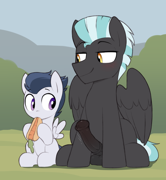 Size: 1370x1483 | Tagged: explicit, artist:shinodage, rumble, thunderlane, pegasus, pony, balls, blushing, brothers, carrot, carrot dog, colt, eating, erection, foal, foalcon, food, horsecock, image, imminent incest, implied incest, looking at each other, looking at someone, looking at something, male, nudity, outdoors, penis, png, siblings, sitting, stallion, underage