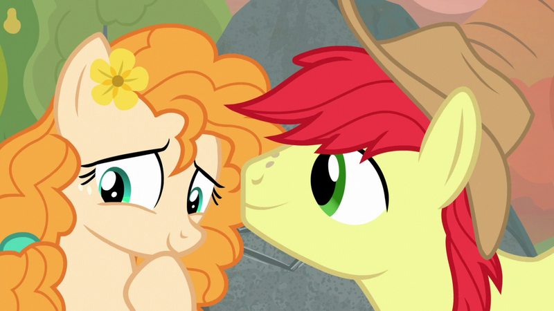 Size: 1280x720 | Tagged: safe, derpibooru import, screencap, bright mac, pear butter, earth pony, pony, season 7, the perfect pear, brightabetes, cute, duo, female, image, male, mare, pearabetes, png, shipping, stallion