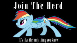 Size: 854x480 | Tagged: safe, artist:forest rain, artist:maximillianveers, derpibooru import, edit, rainbow dash, pegasus, pony, 2012, animated, brony history, brony music, cover art, cute, dashabetes, female, image, join the herd, link in description, music, nostalgia, solo, sound, sound only, webm, youtube link