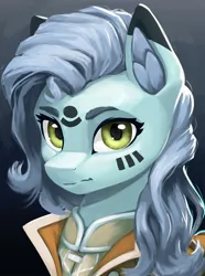 Size: 1560x2100 | Tagged: safe, artist:printik, derpibooru import, oc, unofficial characters only, earth pony, pony, equestria at war mod, bust, clothes, ear fluff, female, image, jpeg, looking at you, mare, markings, portrait, solo