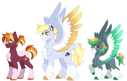 Size: 3124x2012 | Tagged: safe, artist:artistcoolpony, derpibooru import, oc, oc:sunny harvest, oc:thunder clap, oc:zap apple, unofficial characters only, earth pony, pegasus, pony, chest fluff, clothes, coat markings, colored hooves, colored wings, feathered fetlocks, female, image, male, mare, multicolored wings, offspring, parent:big macintosh, parent:rainbow dash, parents:rainbowmac, png, siblings, simple background, socks, socks (coat marking), spread wings, stallion, transparent background, trio, unshorn fetlocks, wings