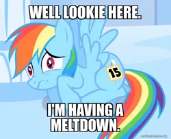 Size: 800x648 | Tagged: safe, derpibooru import, edit, edited screencap, screencap, rainbow dash, sonic rainboom (episode), caption, image, image macro, jellystone, png, text