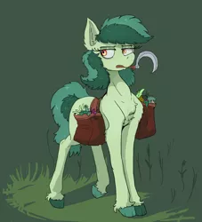 Size: 1909x2099 | Tagged: safe, artist:paskanaakka, derpibooru import, oc, oc:bittergreen, unofficial characters only, earth pony, pony, bag, chest fluff, colored hooves, derpibooru exclusive, ear fluff, female, image, mare, mouth hold, png, saddle bag, sickle, solo, unshorn fetlocks