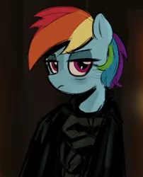 Size: 1315x1631 | Tagged: safe, artist:_ton618_, derpibooru import, rainbow dash, pegasus, pony, image, jpeg, lidded eyes, solo, the batman