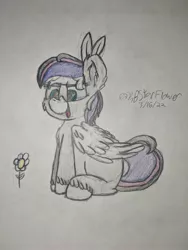 Size: 3024x4032 | Tagged: safe, artist:lunastaralight, derpibooru import, oc, pegasus, my little pony: a new generation, g5, image, jpeg, pencil, sketch