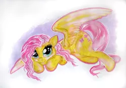 Size: 1280x897 | Tagged: safe, artist:nicolaykoriagin, derpibooru import, fluttershy, pegasus, female, image, jpeg, solo, traditional art