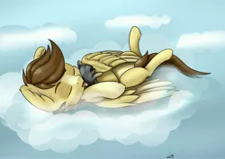 Size: 4096x2892 | Tagged: safe, artist:dbcreativearts, derpibooru import, oc, oc:buttercup, pegasus, aretist:db, image, jpeg, sleeping, small pony, solo