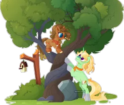 Size: 3142x2655 | Tagged: safe, artist:dinkydoolove, derpibooru import, oc, oc:anahita, oc:outbreak, unofficial characters only, earth pony, pony, unicorn, base used, bird house, duo, earth pony oc, female, image, intertwined trees, magical gay spawn, mare, offspring, parent:applejack, parent:trenderhoof, parent:trouble shoes, parent:troubleshoes clyde, parent:zephyr breeze, parents:troublejack, png, rock, simple background, transparent background, tree