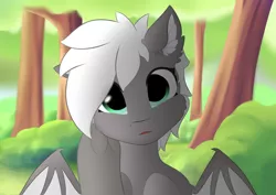 Size: 3508x2480 | Tagged: artist needed, safe, derpibooru import, oc, oc:lilyshein, unofficial characters only, bat pony, pony, cheek fluff, cheek touch, cute eyes, face, female, half-breed, image, looking at you, offscreen character, open mouth, png, pov, surprised, teenager