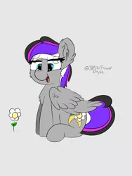 Size: 1536x2048 | Tagged: safe, artist:lunastaralight, derpibooru import, oc, unofficial characters only, pegasus, pony, cheek fluff, chest fluff, digital art, ear fluff, eye clipping through hair, eyebrows, eyebrows visible through hair, flower, folded wings, full body, g4, gray background, heart eyes, hooves, image, multicolored mane, multicolored tail, open mouth, open smile, pegasus oc, png, signature, simple background, sitting, smiling, solo, tail, wingding eyes, wings