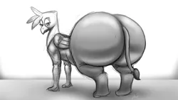 Size: 2560x1440 | Tagged: suggestive, artist:tracerpainter, derpibooru import, gilda, gryphon, ass, black and white, butt, fat, gildough, grayscale, huge butt, image, impossibly large butt, large butt, looking at you, looking back, looking back at you, monochrome, png, presenting, simple background, solo