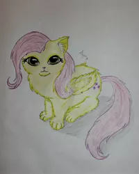 Size: 2994x3742 | Tagged: safe, artist:magarnadge, derpibooru import, fluttershy, cat, image, jpeg, solo, species swap, traditional art