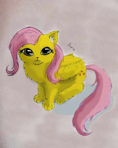 Size: 2994x3742 | Tagged: safe, artist:magarnadge, derpibooru import, fluttershy, cat, chest fluff, ear fluff, image, jpeg, signature, solo, species swap