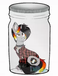 Size: 875x1142 | Tagged: safe, artist:diethtwoo, derpibooru import, oc, oc:moonshine, unofficial characters only, pony, unicorn, clothes, collar, cutie mark, female, flannel, horn, image, jar, jewelry, jpeg, latex, lid, lol, looking at you, mare, meme, piercing, rainbow dash jar, raised eyebrow, shirt, simple background, sitting, smol, socks, solo, this will not end well, uh oh, unicorn oc, white background