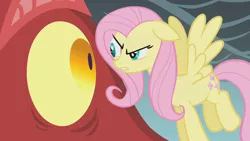 Size: 1280x720 | Tagged: safe, derpibooru import, screencap, basil, fluttershy, dragon, pegasus, pony, dragonshy, season 1, angry, badass, duo, eye contact, female, flutterbadass, image, looking at each other, looking at someone, male, mare, narrowed eyes, png, stare, the stare