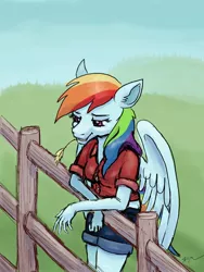 Size: 1536x2048 | Tagged: safe, artist:catscratchpaper, derpibooru import, rainbow dash, anthro, pegasus, clothes, female, fence, image, jpeg, shorts, solo, straw in mouth