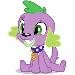 Size: 1400x1399 | Tagged: dead source, safe, derpibooru import, official, spike, dog, equestria girls, collar, fangs, grin, image, male, nervous, nervous grin, pet tag, png, simple background, sitting, smiling, solo, spike the dog, tail, transparent background, vector