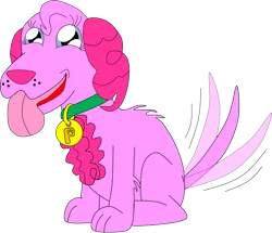 Size: 1197x1028 | Tagged: safe, artist:beats0me, derpibooru import, pinkie pie, dog, collar, dogified, image, png, puppy, puppy pie, simple background, solo, species swap, tail, tail wag, tongue out, transparent background