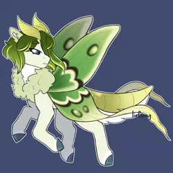 Size: 1600x1600 | Tagged: safe, artist:liefsong, derpibooru import, oc, oc:leolata, unofficial characters only, insect, moth, mothpony, original species, antennae, chest fluff, flying, image, jpeg, simple background, wings