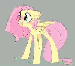Size: 1008x895 | Tagged: safe, artist:melodylibris, derpibooru import, fluttershy, butterfly, insect, pegasus, pony, butterfly on nose, image, insect on nose, jpeg, open mouth, simple background, smiling, solo, spread wings, wings