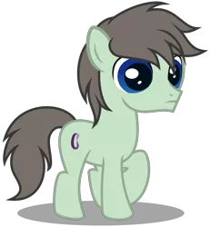 Size: 2748x2979 | Tagged: safe, artist:strategypony, derpibooru import, oc, oc:paradox, unofficial characters only, earth pony, pony, colt, foal, image, male, png, simple background, solo, solo male, transparent background, younger