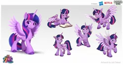 Size: 2048x1080 | Tagged: safe, artist:imalou, boulder media, derpibooru import, twilight sparkle, twilight sparkle (alicorn), alicorn, pony, my little pony: a new generation, behind the scenes, boulder media logo, concept art, g5, hasbro, hasbro logo, image, jpeg, logo, my little pony: a new generation logo, netflix, netflix logo, solo