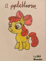 Size: 1559x2054 | Tagged: safe, artist:mlpfantealmintmoonrise, derpibooru import, apple bloom, scootaloo, sweetie belle, earth pony, pony, coloring, cutie mark crusaders, drawing, female, filly, foal, image, jpeg, photo, signature, traditional art