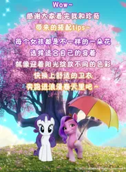 Size: 1080x1476 | Tagged: safe, derpibooru import, official, pipp petals, rarity, pegasus, pony, unicorn, my little pony: a new generation, 2d, 3d, adorapipp, cherry tree, china, chinese text, cute, friendly, g4, g5, grass, image, joyful, jpeg, looking at you, moon runes, pink, salvaged, smiling, smiling at you, sparkles, standing, together, tree, umbrella, weibo, weixin