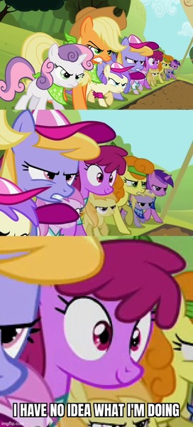 Size: 500x1102 | Tagged: safe, derpibooru import, edit, edited screencap, screencap, alula, amethyst star, applecore, applejack, berry punch, berryshine, carrot top, cloud kicker, dinky hooves, golden harvest, noi, piña colada, pluto, sweetie belle, pony, season 2, sisterhooves social, caption, female, filly, foal, image, image macro, imgflip, jpeg, mare, siblings, sisters, text