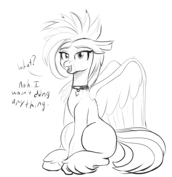 Size: 1489x1533 | Tagged: safe, artist:cosmonaut, derpibooru import, oc, unofficial characters only, classical hippogriff, hippogriff, female, grayscale, image, jpeg, looking at you, monochrome, simple background, sitting, sketch, solo, talking to viewer, white background