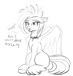 Size: 1489x1533 | Tagged: safe, artist:cosmonaut, derpibooru import, oc, unofficial characters only, classical hippogriff, hippogriff, female, grayscale, image, jpeg, looking at you, monochrome, simple background, sitting, sketch, solo, talking to viewer, white background