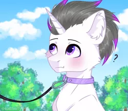 Size: 1770x1534 | Tagged: safe, artist:kadzumiisayu, derpibooru import, oc, oc:haze rad, unofficial characters only, pony, unicorn, :t, blushing, cheek fluff, collar, commission, commissioner:biohazard, cute, detailed background, ear fluff, eyebrows, highlights, horn, image, leash, looking at someone, looking at something, male, pet play, png, pony pet, purple eyes, question mark, solo, stallion, unicorn oc, ych result