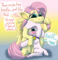 Size: 1132x1164 | Tagged: safe, artist:firefanatic, derpibooru import, pegasus, pony, sheep, them's fightin' herds, comforting, community related, crying, dialogue, duo, female, fluffy, hug, image, lamb, png, pom (tfh)