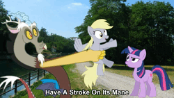 Size: 1280x720 | Tagged: dead source, safe, derpibooru import, derpy hooves, discord, pinkie pie, twilight sparkle, ponified, draconequus, earth pony, pegasus, pony, unicorn, 2012, amazing horse, animated, female, image, loop, male, mare, music, parody, sound, webm, youtube link