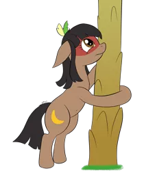 Size: 2408x2632 | Tagged: safe, artist:wapamario63, derpibooru import, oc, oc:kuruminha, unofficial characters only, earth pony, pony, bipedal, brazil, brchan, face paint, feather, female, floppy ears, hug, image, mare, native american, png, tree, tree hugging