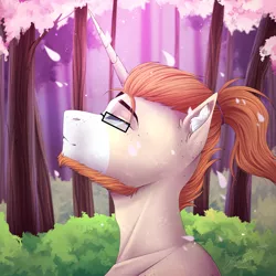 Size: 2500x2500 | Tagged: safe, artist:lunciakkk, derpibooru import, oc, oc:mckeypl, unofficial characters only, pony, unicorn, bust, cherry blossoms, commission, flower, flower blossom, forest, horn, image, male, png, ponytail, portrait, solo, stallion, tree