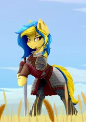 Size: 720x1020 | Tagged: safe, derpibooru import, oc, oc:ukraine, ponified, unofficial characters only, pony, armor, image, jpeg, nation ponies, solo, sword, ukraine, weapon