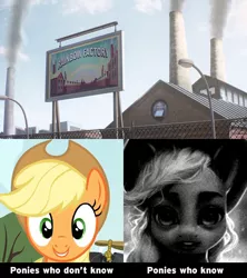 Size: 640x720 | Tagged: semi-grimdark, artist:assasinmonkey, derpibooru import, edit, edited screencap, screencap, applejack, earth pony, pony, fanfic:rainbow factory, apple family reunion, season 3, apple, apple tree, applejack's hat, caption, cowboy hat, cropped, cursed image, fanfic art, female, food, hat, image, image macro, looking at you, mare, meme, png, ponified meme, raise this barn, solo, sweet apple acres, text, the amazing world of gumball, those who don't know, tree