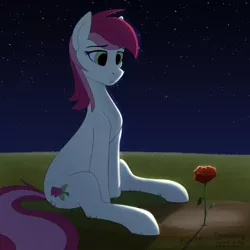 Size: 2600x2600 | Tagged: safe, artist:dash wang, derpibooru import, roseluck, earth pony, female, flower, grass, grass field, image, moonlight, night, png, rose