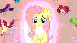 Size: 640x360 | Tagged: safe, derpibooru import, edit, edited screencap, screencap, angel bunny, applejack, derpy hooves, discord, fluttershy, pinkie pie, rainbow dash, rarity, spike, starlight glimmer, tank, twilight sparkle, twilight sparkle (alicorn), alicorn, earth pony, pegasus, 28 pranks later, a bird in the hoof, a canterlot wedding, a hearth's warming tail, bats!, bridle gossip, canterlot boutique, castle sweet castle, dragonshy, every little thing she does, fake it 'til you make it, fame and misfortune, feeling pinkie keen, filli vanilli, flutter brutter, fluttershy leans in, friendship is magic, green isn't your color, hurricane fluttershy, it ain't easy being breezies, keep calm and flutter on, lesson zero, magic duel, magical mystery cure, make new friends but keep discord, maud pie (episode), may the best pet win, putting your hoof down, rainbow falls, scare master, season 1, season 2, season 3, season 4, season 5, season 6, season 7, season 8, season 9, simple ways, slice of life (episode), sonic rainboom (episode), spike at your service, stare master, suited for success, swarm of the century, sweet and elite, tanks for the memories, testing testing 1-2-3, the crystal empire, the cutie map, the cutie mark chronicles, the ending of the end, the hooffields and mccolts, the last roundup, the mysterious mare do well, the one where pinkie pie knows, the return of harmony, the saddle row review, the ticket master, too many pinkie pies, trade ya, twilight's kingdom, viva las pegasus, what about discord?, winter wrap up, yakity-sax, spoiler:s08, spoiler:s09, :o, a true true friend, ancient wonderbolts uniform, animated, blushing, clothes, confused, element of kindness, eye reflection, eyes closed, female, gif, gritted teeth, image, makeup, male, mane six, nose in the air, open mouth, rainbow eyes, reflection, running makeup, screaming, scrunchy face, shipping, shocked, smiling, straight, uniform
