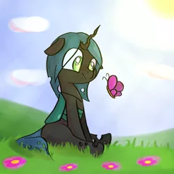 Size: 1000x1000 | Tagged: safe, artist:ronin20181, derpibooru import, queen chrysalis, butterfly, changeling, insect, cute, cutealis, female, flower, grass, image, png, solo