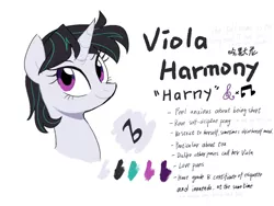 Size: 1600x1200 | Tagged: safe, artist:yaco, derpibooru import, oc, oc:viola harmony, pony, unicorn, female, image, jpeg, magical lesbian spawn, mare, offspring, parent:octavia melody, parent:vinyl scratch, parents:scratchtavia, reference sheet, simple background, translation, translator:1845368013, white background