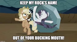 Size: 898x500 | Tagged: safe, artist:mlpfan3991, derpibooru import, edit, edited screencap, screencap, applejack, rarity, earth pony, unicorn, the return of harmony, abuse, caption, chris rock, discorded, female, fight, fighting words, image, jpeg, keep my wife's name out of your mouth, meme, oscar, parody, ponified meme, rock, text, will smith, will smith slapping chris rock