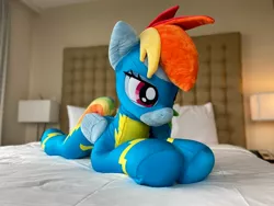 Size: 2048x1536 | Tagged: safe, artist:lanacraft, derpibooru import, rainbow dash, pegasus, pony, bed, bedroom, clothes, g4, image, irl, jpeg, life size, lying down, photo, plushie, prone, skinsuit, solo, uniform, wings, wonderbolts uniform, zipper