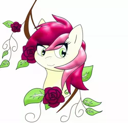 Size: 2048x1962 | Tagged: safe, artist:zeon_starlight, derpibooru import, roseluck, earth pony, pony, bust, eye clipping through hair, female, flower, image, jpeg, leaf, mare, portrait, rose, simple background, solo, white background