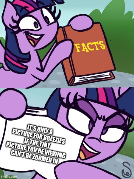 Size: 500x667 | Tagged: safe, artist:quarium edits, derpibooru import, edit, twilight sparkle, twilight sparkle (alicorn), alicorn, pony, book, caption, exploitable meme, eyebrows, eyebrows visible through hair, female, hoof hold, horn, image, image macro, imgflip, jpeg, mare, meme, open mouth, open smile, smiling, solo, text, twilight's fact book