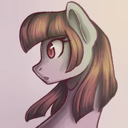 Size: 900x900 | Tagged: safe, artist:maeveadair, derpibooru import, oc, oc:maeve adair, unofficial characters only, pony, bust, female, image, looking sideways, mare, png, portrait, simple background, solo, surprised